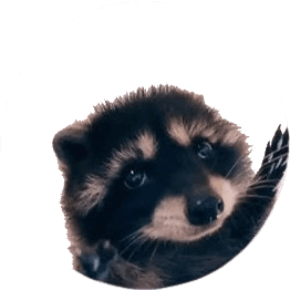 Cómo llevar al diseño web a Pedro, el mapache de TikTok